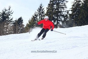 KUBINSKA 1-02-14 www 2